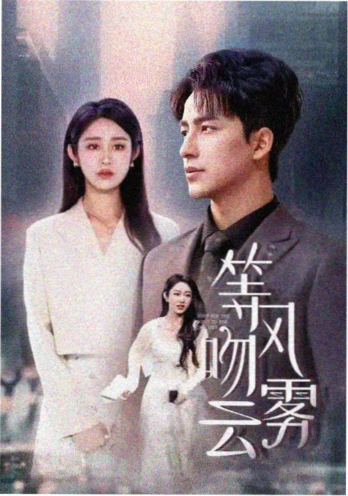 山河故人录 剧集在线观看免费